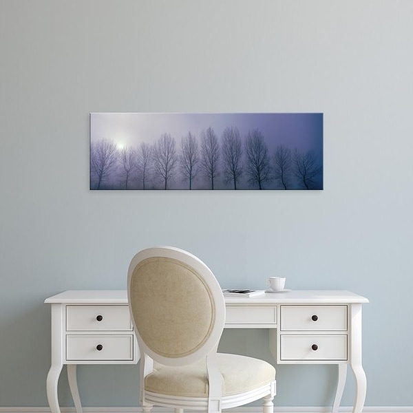 Easy Art Prints Panoramic Images's 'Trees in Mist Damme Belgium' Premium Canvas Art
