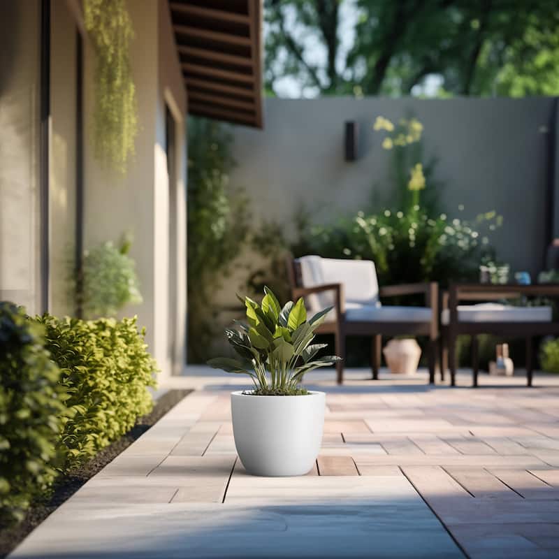 Tall Concrete Round Plant Pots / Large Indoor and Outdoor flower Planters
