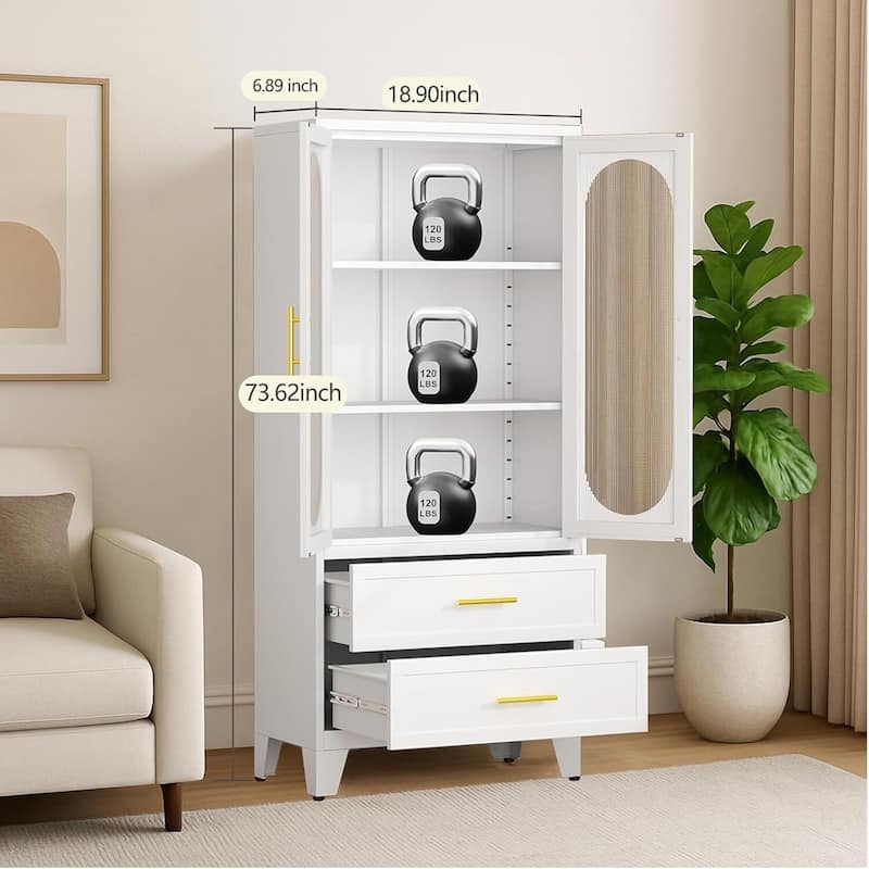 Metal Pantry Storage Cabinet for Kitchen, Laundry, Living Room , Tool Room - N/A