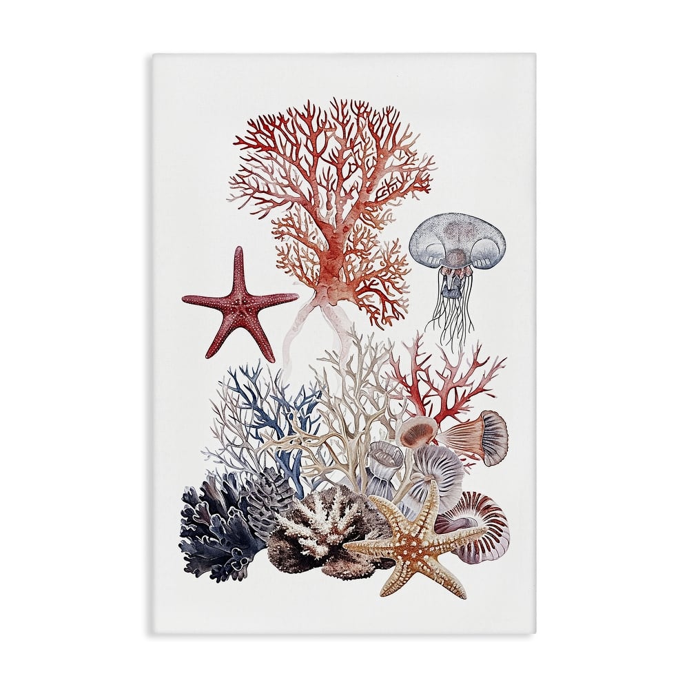 Stupell Aquatic Animals & Coral Canvas Wall Art Design By Ramona Murdock
