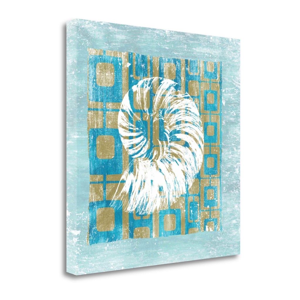 Shell Game 4 Wrapped Canvas Print Living Room Wall Art