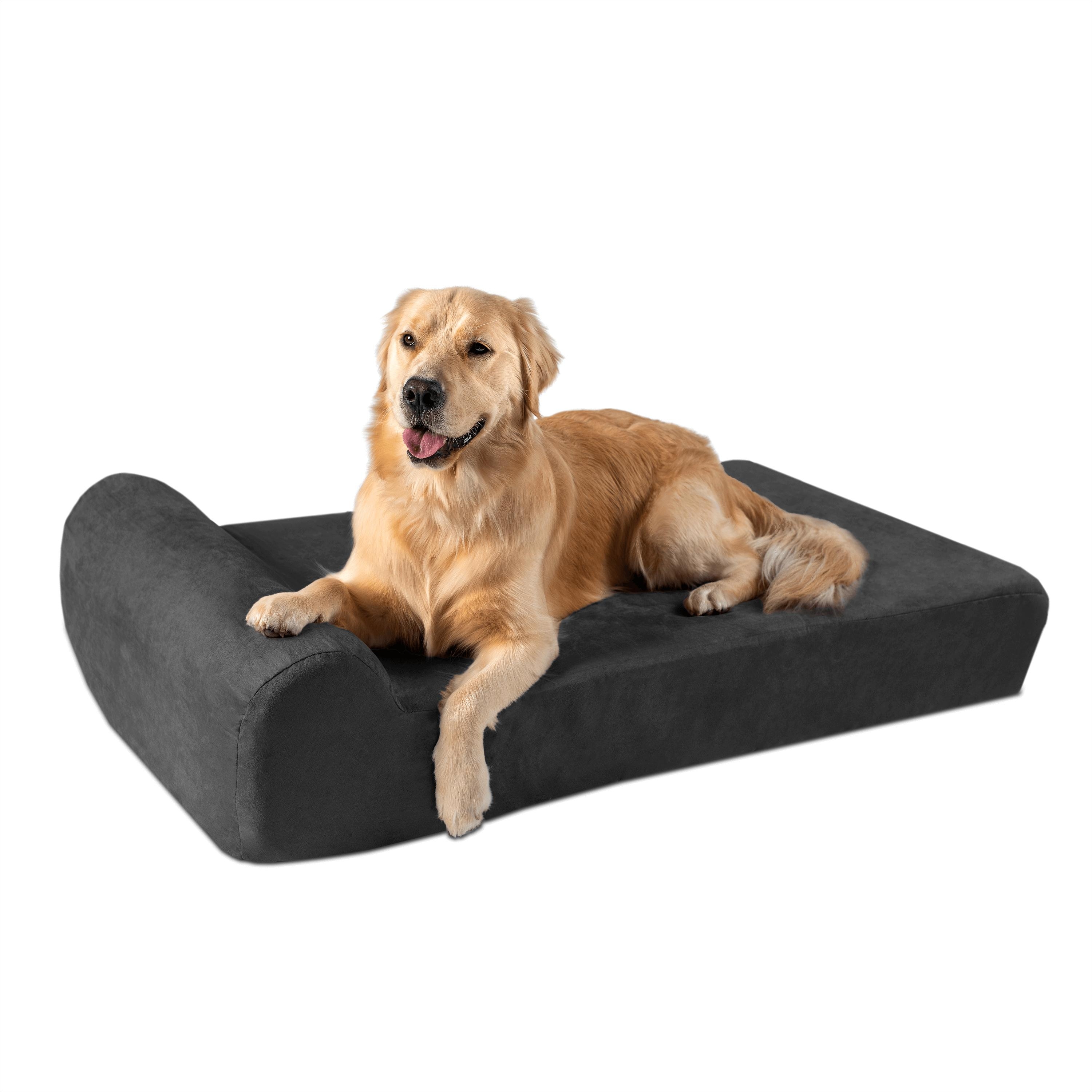 Bed bath and 2025 beyond orthopedic dog bed
