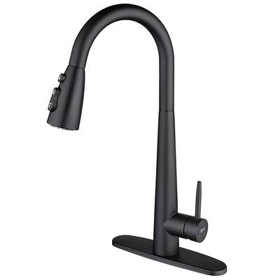 Single Handle Pull Down Sprayer Kitchen Faucet