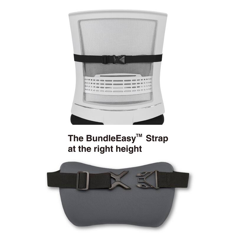 SmartRip Cushion at Work Lumbar Support Butterfly