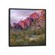 iCanvas "Teddy Bear Cholla And Saguaro, Kofa Nwr, Arizona" by Tim Fitzharris Framed Canvas Print - Black - 26x26