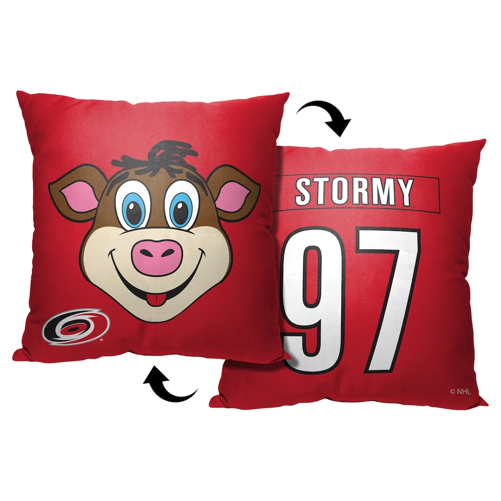 NHL Carolina Hurricanes Mascot Love 18 Inch Throw Pillow