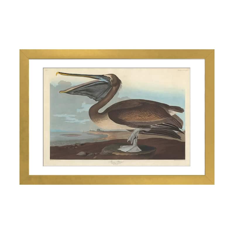 iCanvas "Brown Pelican" by John James Audubon - Gold - 16x24x1