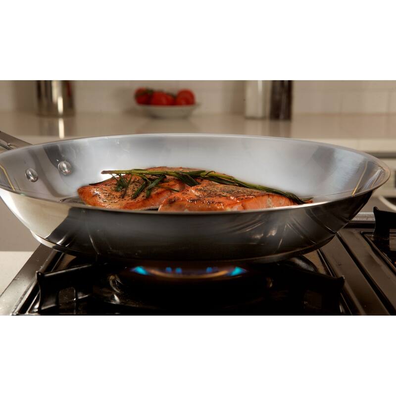 T-fal E7600574 Performa Stainless Steel 10.5 Inch Fry Pan