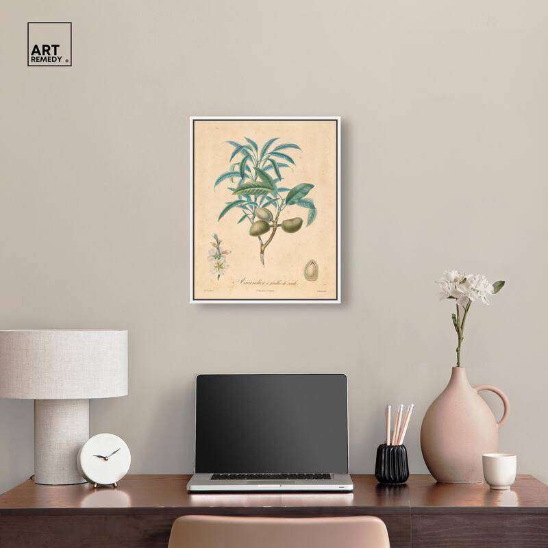 Almond of Georgia II Canvas by Art Remedy