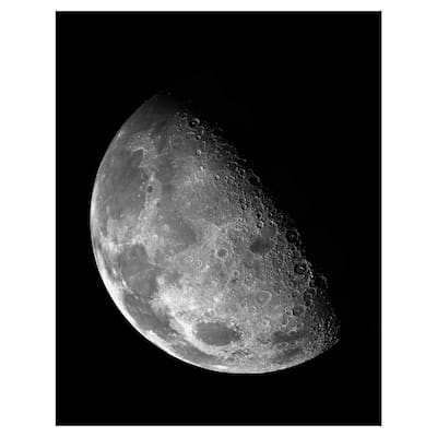 Moon Study by NS Canvas Art Print