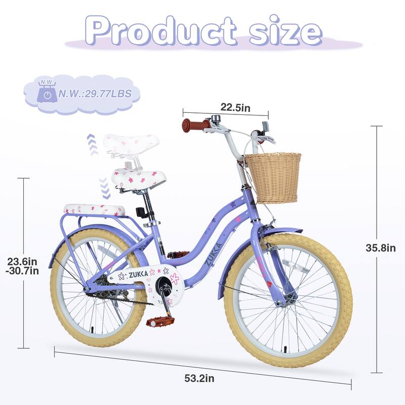 Girls 20 Inch Bike with Basket, Steel Frame, Front & Rear Brakes, For Kids Ages 7-10, No Training Wheels