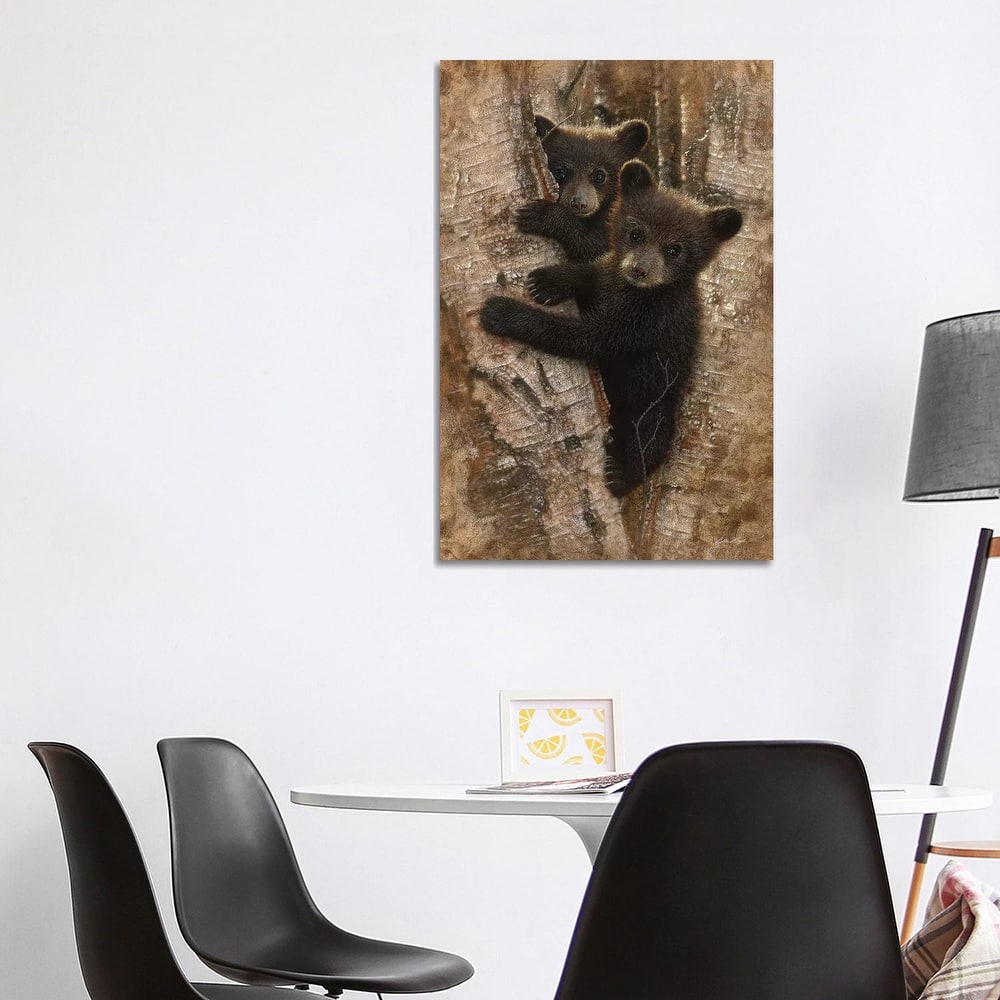 iCanvas "Curious Black Bear Cubs, Vertical" by Collin Bogle Canvas Print