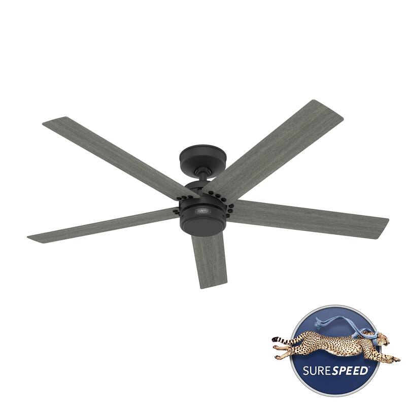Hunter 52" Burton Outdoor Ceiling Fan and Wall Control - Farmhouse, Industrial, Transitional - Damp Rated - Exclusive SureSpeed!