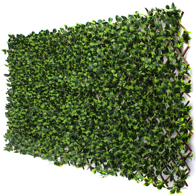 Gardenia Trellis - 20 x 108 - Gardenia - 20 x 108