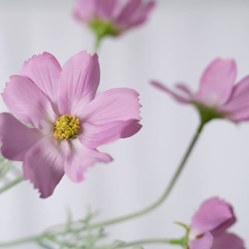 Pink Silk Decorative Artificial Cosmos(Pack of 1 Branch)