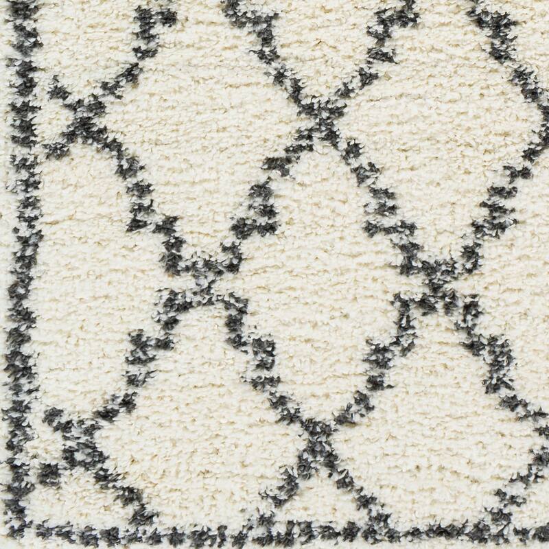 Orleanna Diamond Trellis Plush Area Rug