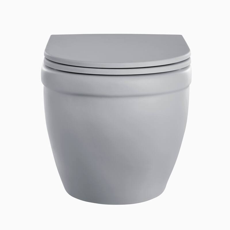 Ivy Wall-Hung Toilet Bowl Only In Matte Gray