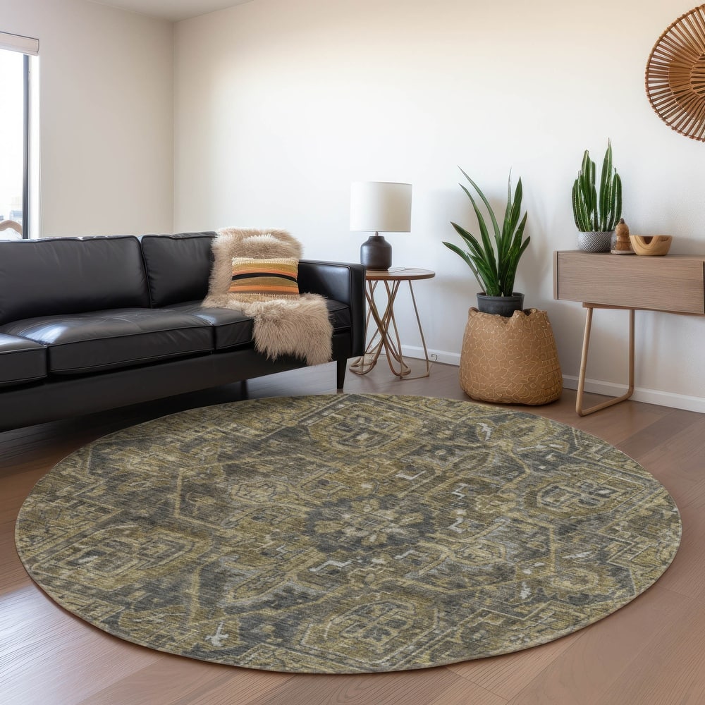 Premium Washable Super Soft Traditional Boho Mayfield Rug
