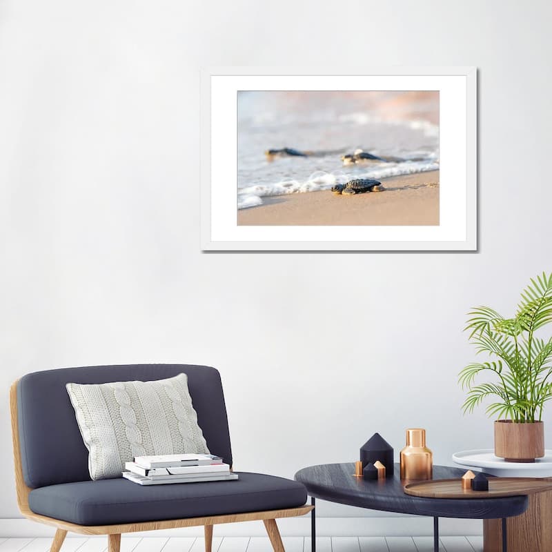 iCanvas "Kemp's Ridley Sea Turtle hatchling I" by Larry Ditto