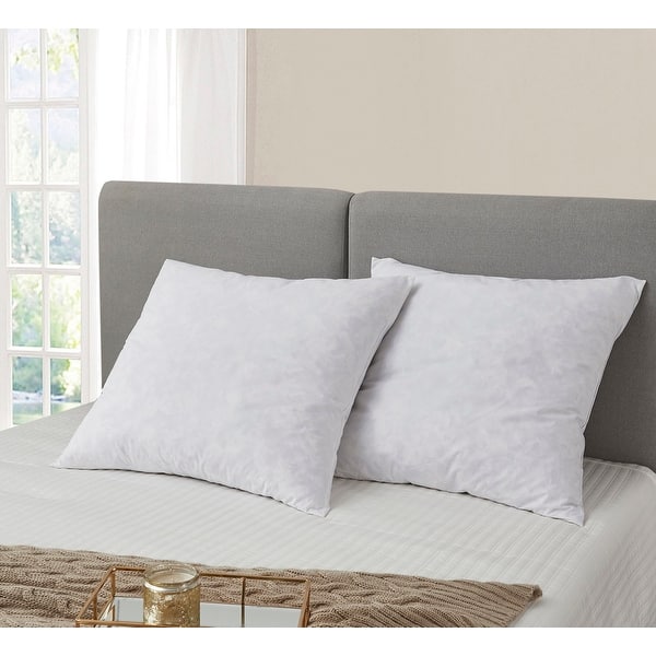 https://ak1.ostkcdn.com/images/products/is/images/direct/509a37e38db1bb74d308e68dfdcd40e12fae2d5b/European-Square-26-x-26-Inch-Feather-Pillows-%28Set-of-2%29.jpg?impolicy=medium