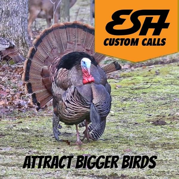 Shop Esh Custom Calls Turkey Hunting Mouth Call Overstock 29739741