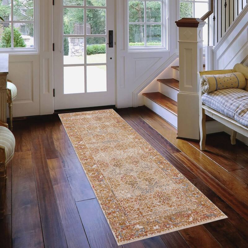 Ethereal Vintage Bordered Area Rug - 2'7" x 7'6" - Beige/Sienna