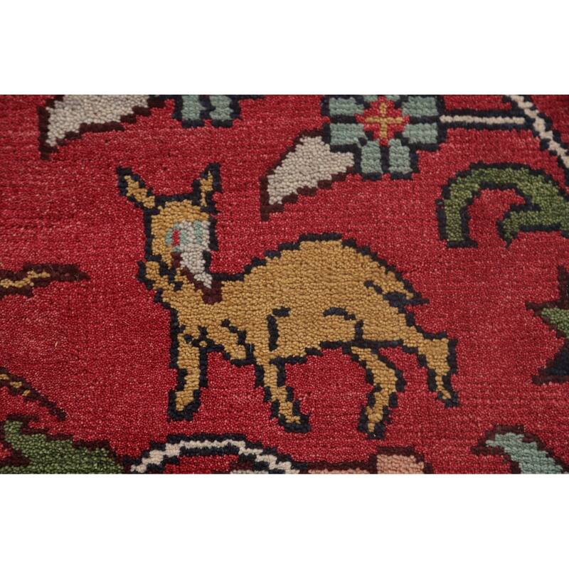 Animals Design Ziegler Area Rug Handmade Oriental Wool Carpet - 9'0"x 11'10"