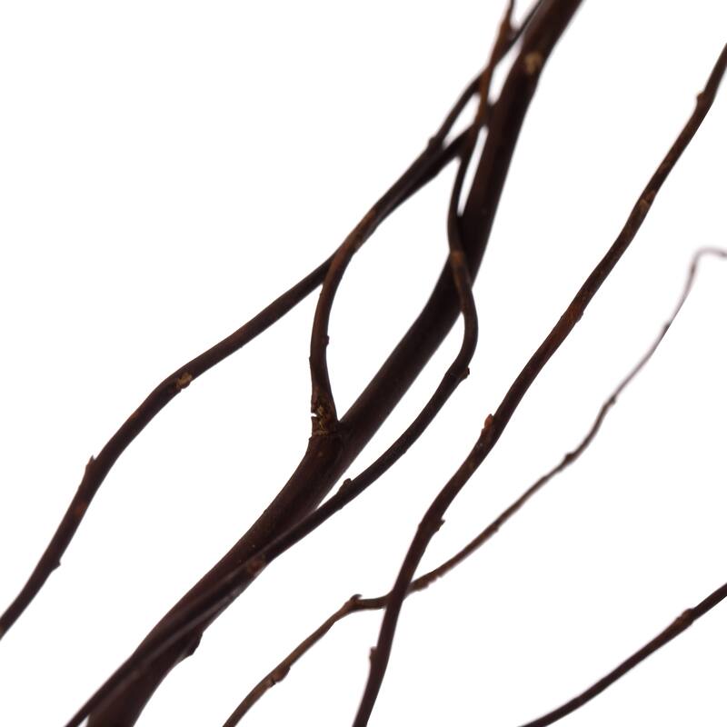 Natural Decorative Dry Branches Authentic Sticks for Home Decoration and Wedding Craft