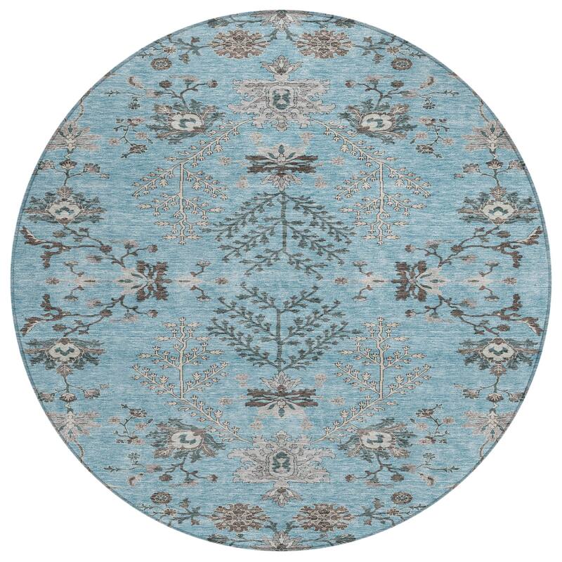 Machine Washable Indoor/ Outdoor Boho Traditional Chantille Rug