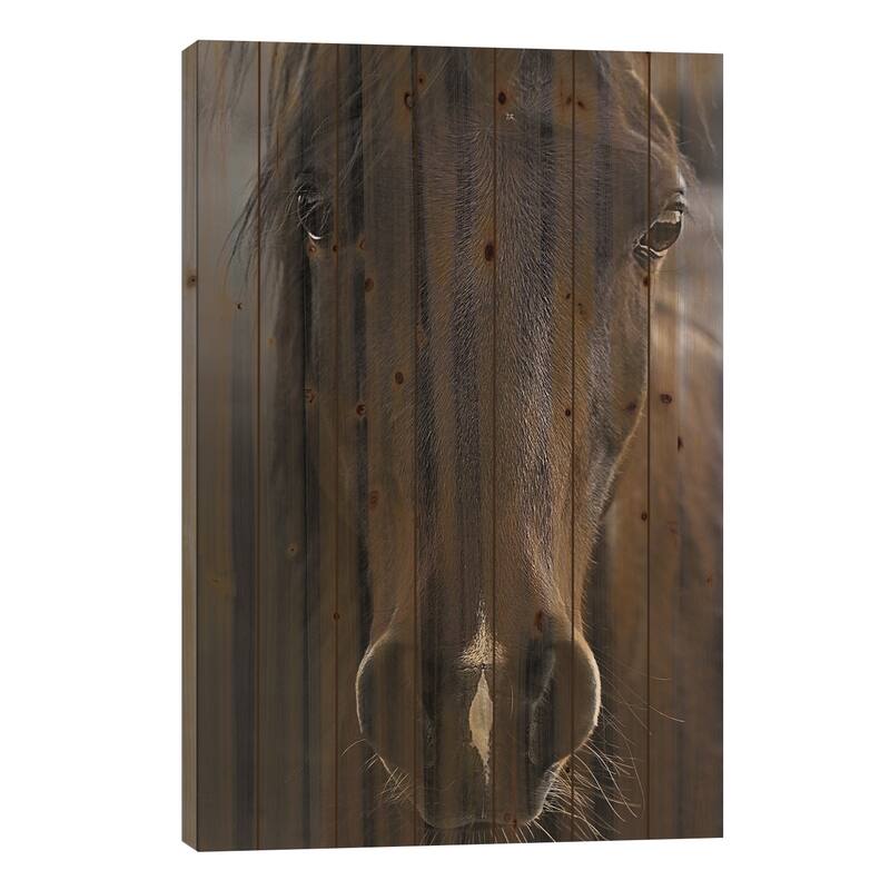 Dark Horse Print On Wood by Monika Strigel - Multi-Color - 40x26x1.5