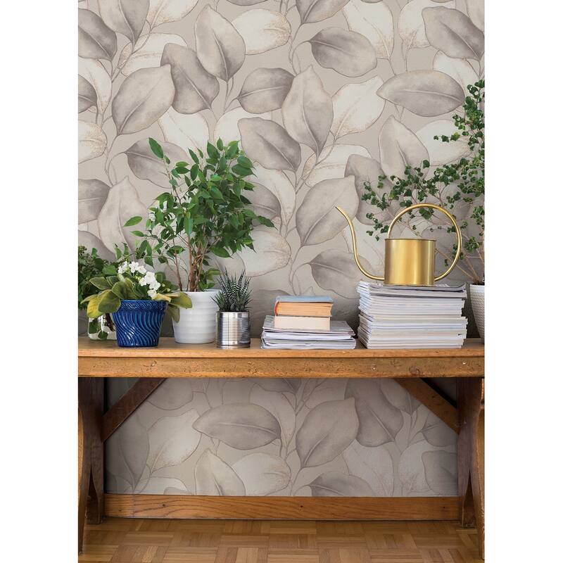 A-Street Prints Evanthe Grey Vine Wallpaper