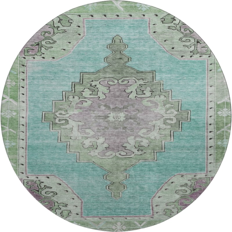 Premium Washable Super Soft Vintage Traditional Mayfield Rug