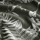 preview thumbnail 7 of 37, Eddie Bauer Ultra Soft Plush Fleece Lightweight All Season Throw Blanket