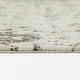 preview thumbnail 5 of 3, Ptolemy Distressed Transitional Area Rug
