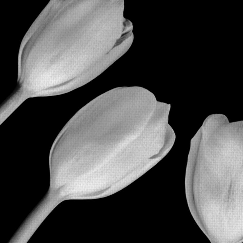 Untitled 132 by Michael Faragher Canvas Art Print