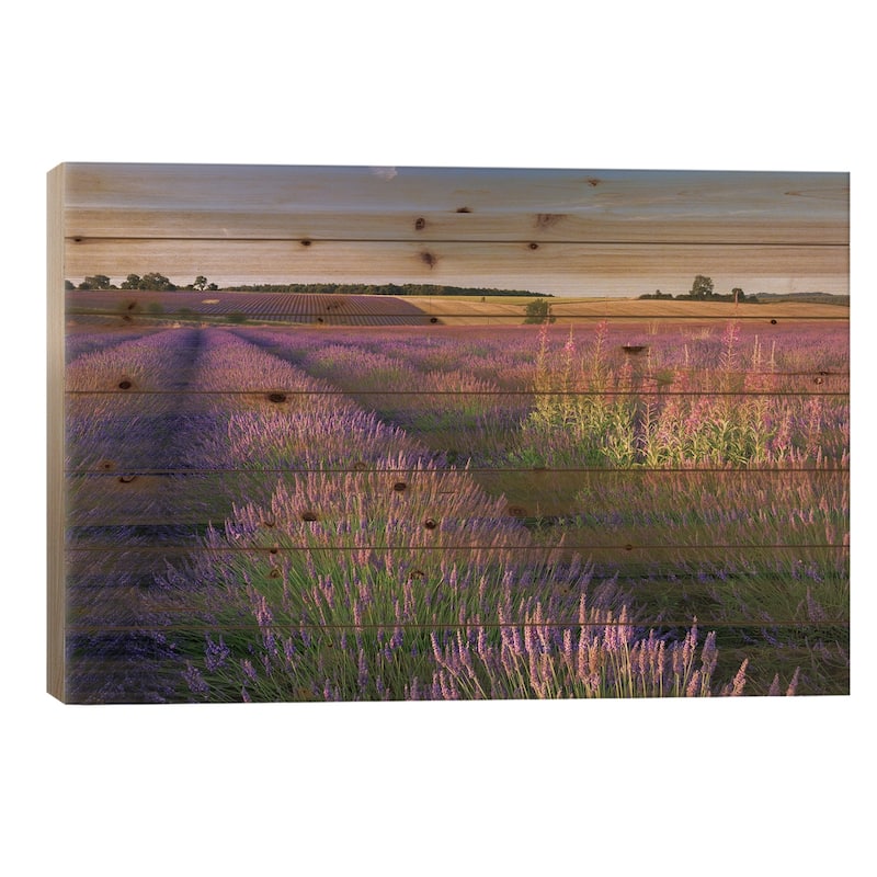 Pink and Purple Print On Wood by Adam Burton - Multi-Color - 18x26x1.5
