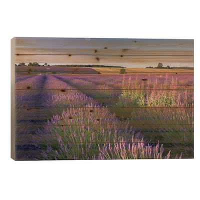 Pink and Purple Print On Wood by Adam Burton - Multi-Color