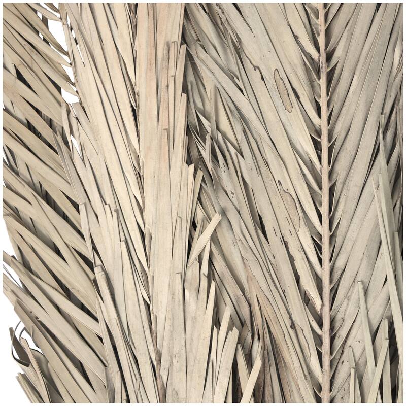 Dried Plant Palm Leaves Tall Home Decor Natural Foliage with Grass - Light Brown, Dark Brown, Green - Roche River Decor