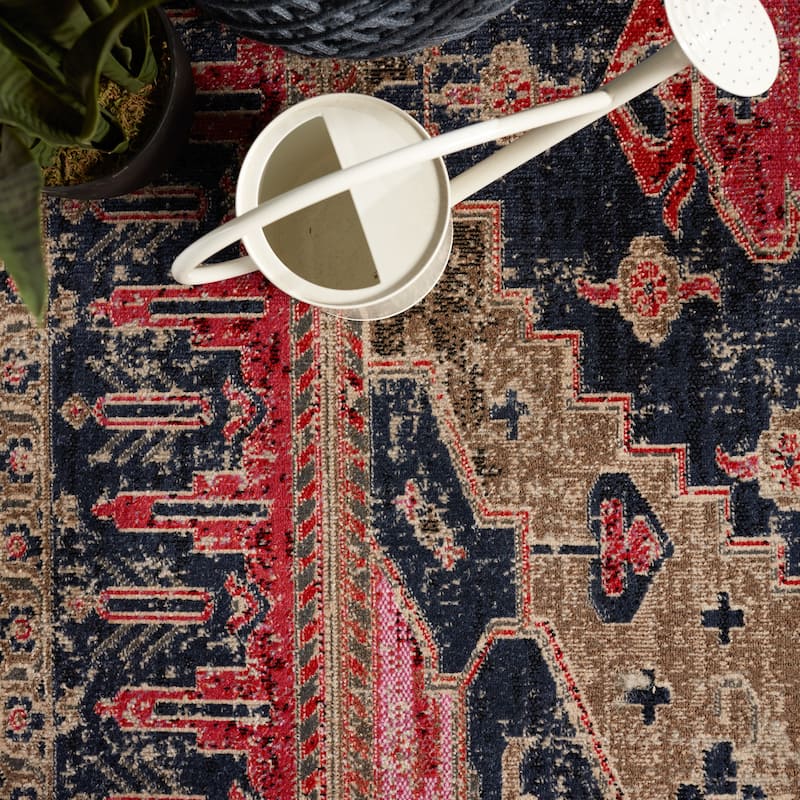 Cicero Indoor and Outdoor Medallion Area Rug
