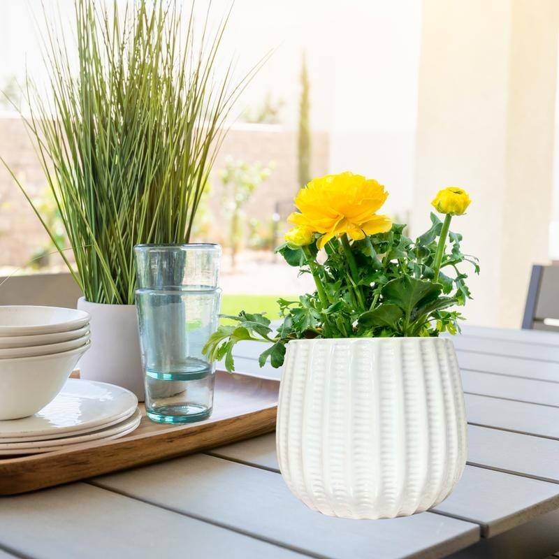 5 inch Ceramic Flower Planter Pot