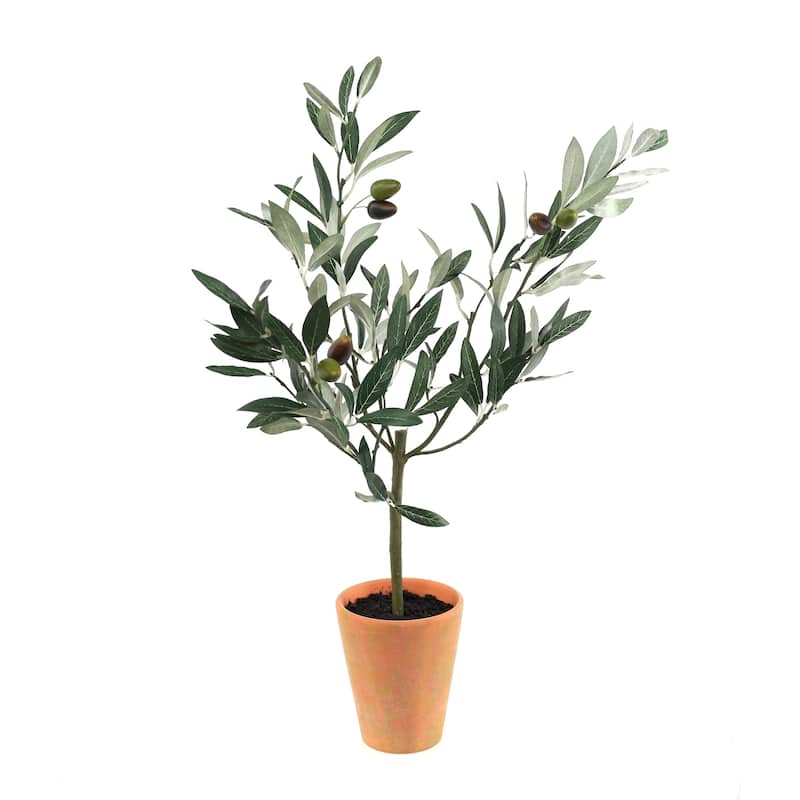 Potted Olive Tree Topiary 22"H
