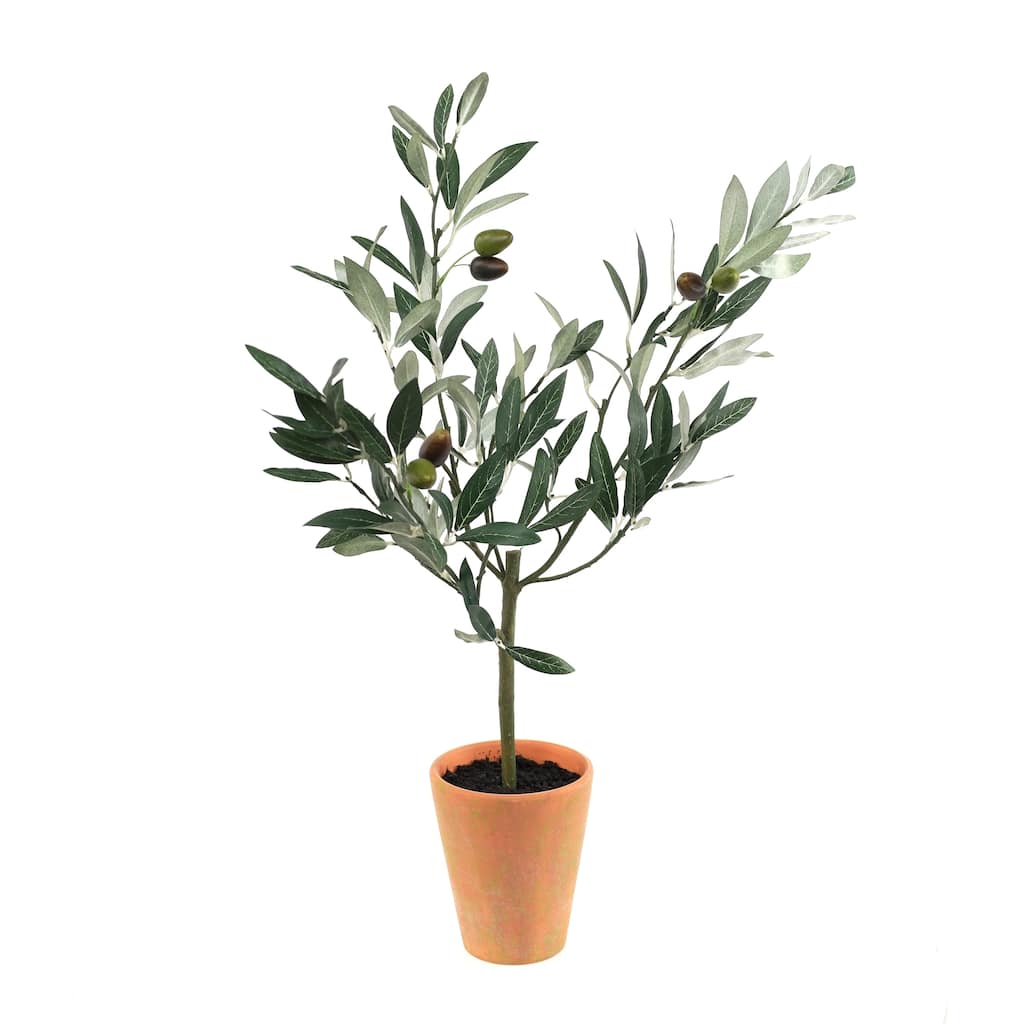 Potted Olive Tree Topiary 22"H