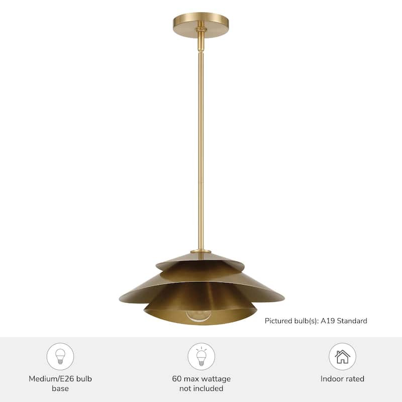 Hunter Hiro 1 Light Pendant - Kitchen, Dining Room, Entry - Contemporary, Modern - Statement Lighting!