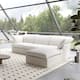 Option White