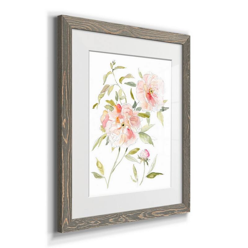 Sketchbook Cottage Rose II-Premium Framed Print - Ready to Hang