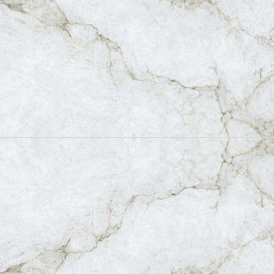 The Tile Life Beau 24x48 Gold Porcelain Floor & Wall Tile