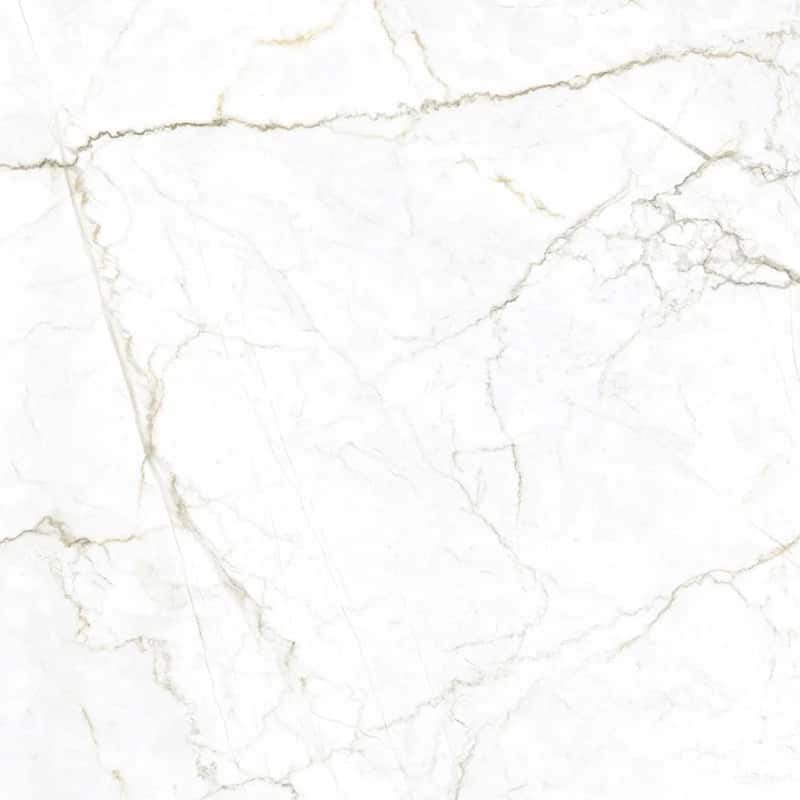 Splendor 48x48 Gray Beige Porcelain Large Format Veining Wall and Floor Tile (15.5 sq ft/case) - 1 Pack