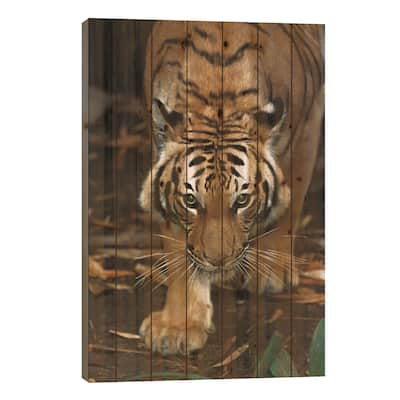 Malayan Tiger, Native To Malaysia Print On Wood by ZSSD - Multi-Color