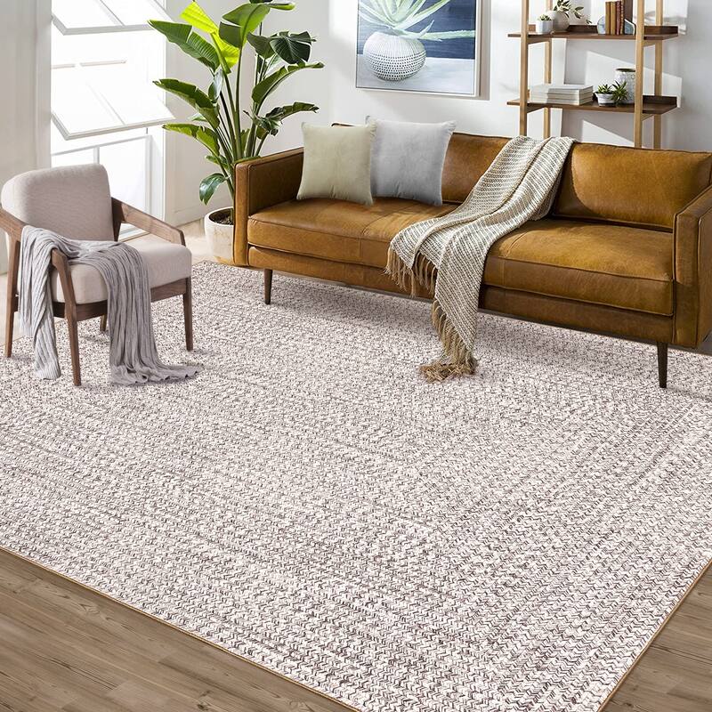 Modern Braided Print Rug Washable Area Rugs for Living Room Bedroom