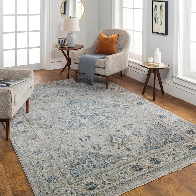 Artistic Weavers Ryla Vintage Distressed Area Rug - 2' 7" x 4' - Blue